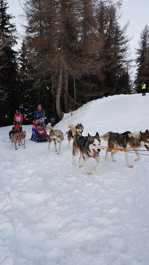 Appart Zig-Zag Les Coches La Plagne Zewnętrze zdjęcie